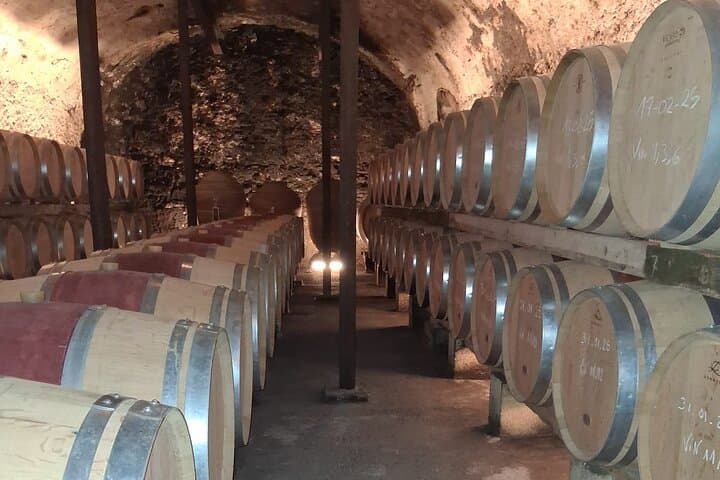 Expérience Vinicole à Châteauneuf-du-Pape — photo 3