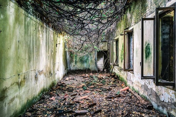 Tour dell'Isola di Poveglia da Venezia (Tour Privato) — foto 3