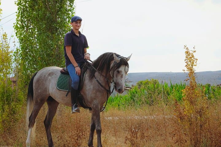Passeggiata a Cavallo sul Vesuvio — foto 2