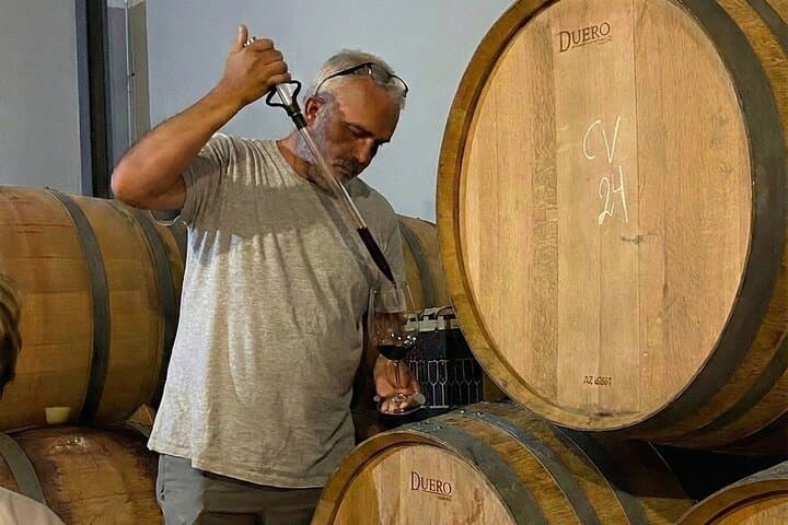 Malaga Bio-Weinberg & Weingut: 6 Weine, 2 Öle & Transfer — Foto 5