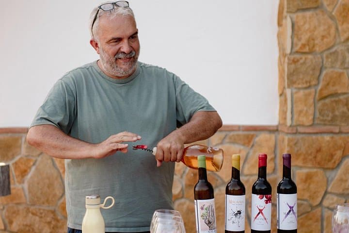 Mijas Bio-Weinberg Tour: Wein-, Öl- und Tapas-Verkostung — Foto 3