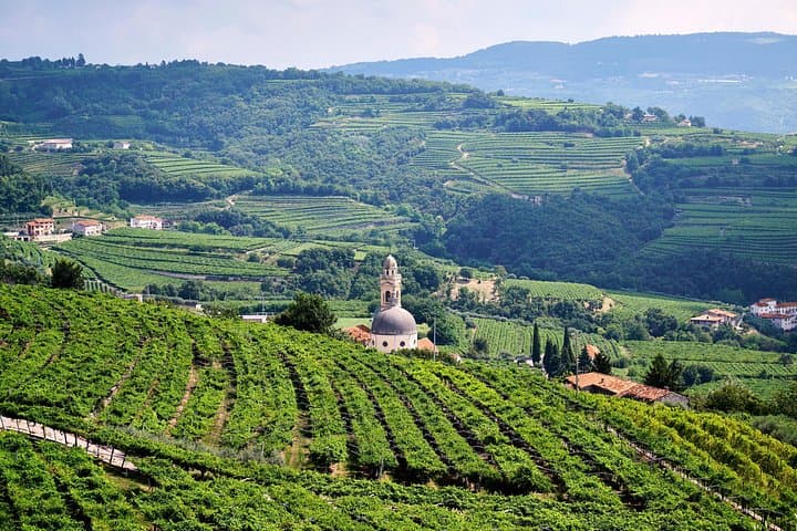 Expérience de Vin de Demi-Journée à Valpolicella depuis Vérone — photo 5