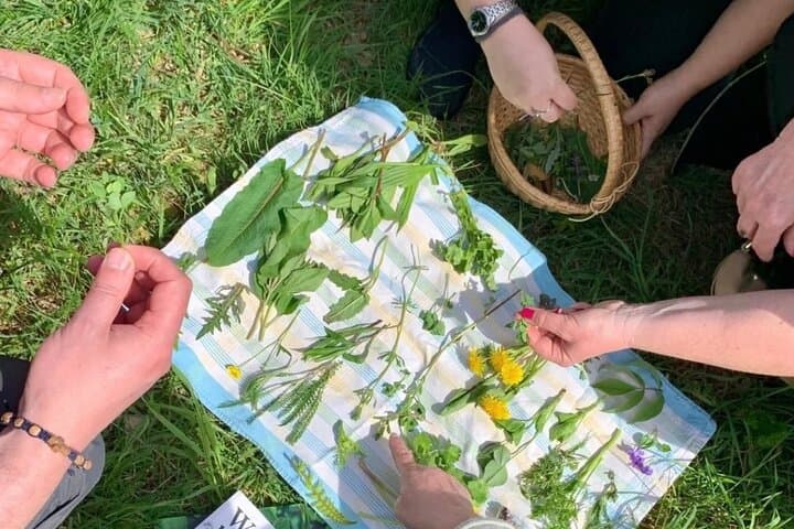Escursione Erboristica a Heidelberg con Guida Locale
