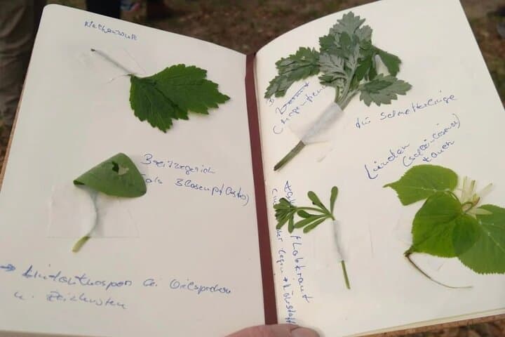 Escursione Erboristica a Heidelberg con Guida Locale — foto 3