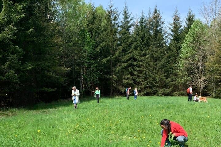 Escursione Erboristica a Heidelberg con Guida Locale — foto 4