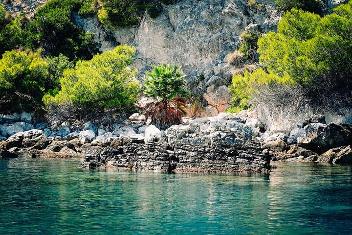 La Herradura : Voilier avec vue sur les dauphins - Partagé — photo 4