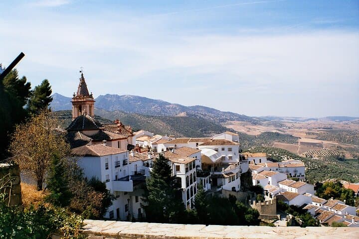 Tour Privado de los Pueblos Blancos y Ronda desde Sevilla