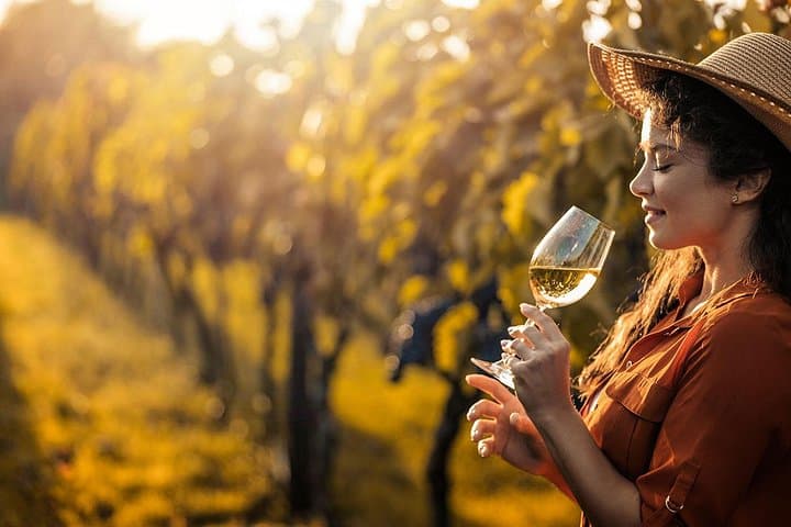 Sauternes Wein Tour — Foto 2