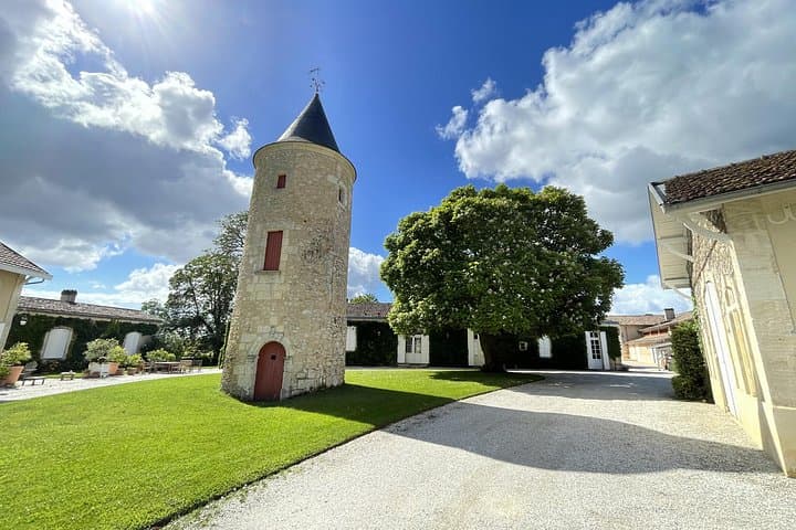 Tour del Vino di Bordeaux Les Graves Pessac Leognan — foto 2