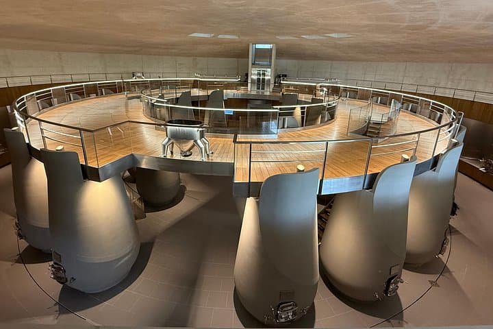 Tour del Vino di Bordeaux Les Graves Pessac Leognan — foto 4
