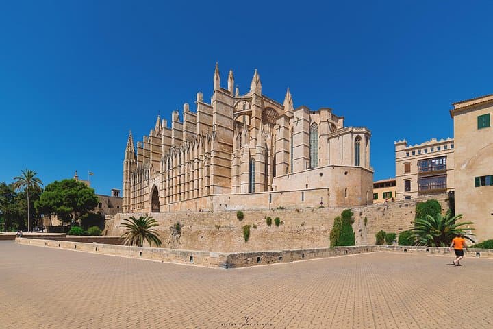 Biglietto d'ingresso salta-fila per la Cattedrale di Mallorca