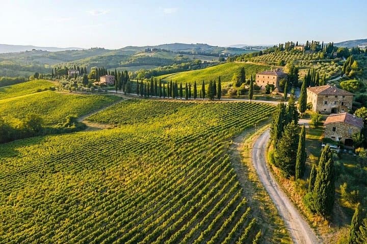 Passeggiata tra le Colline di Chianti