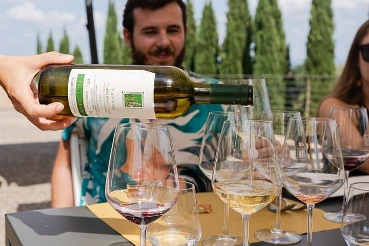 Weinverkostungstour durch die Toskana mit Mittagessen und Verkostungen in 2 Weingütern — Foto 3
