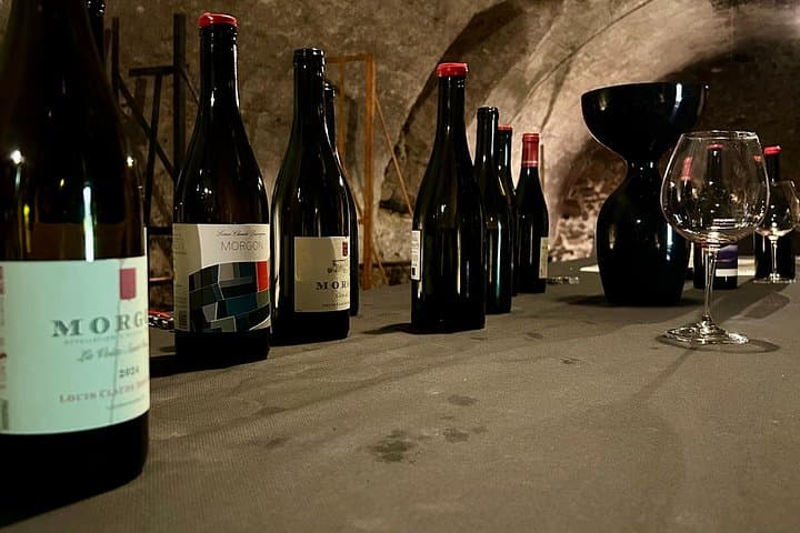 Beaujolais Signature Experience Wein aus Lyon — Foto 4