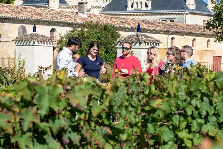 Halbtägige Weinverkostungstour in Bordeaux — Foto 3