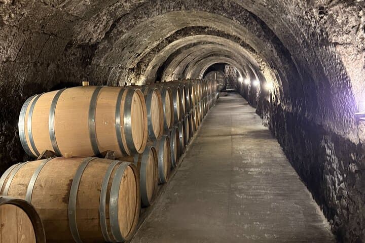 Excursion d'une journée de Madrid aux vignobles de Ribera del Duero — photo 3