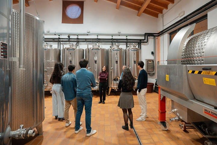 Visite de vignoble et de cave avec dégustation de 5 vins près du lac de Garde — photo 4