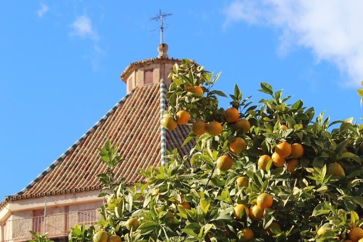 Visite à pied du centre historique de Malaga — photo 4