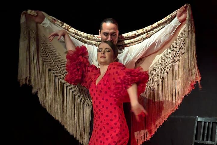 BIGLIETTO D'INGRESSO PER IL TABLAO FLAMENCO LAS TABLAS PLAZA ESPAÑA — foto 5