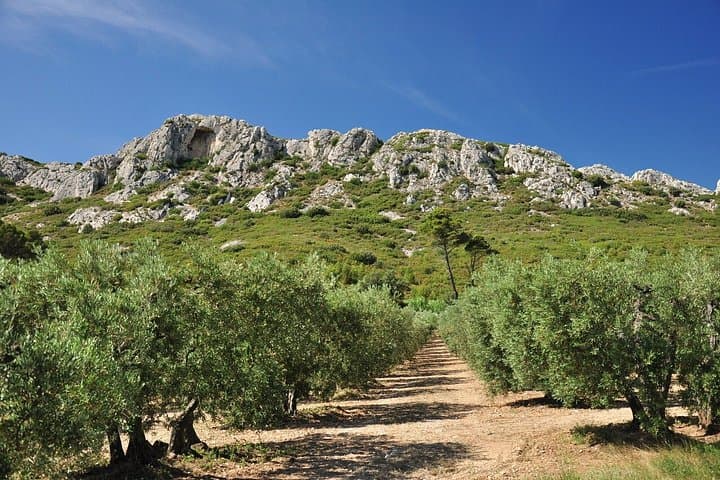 Dörfer von Saint-Rémy, Les Baux de Provence & der Pont du Gard