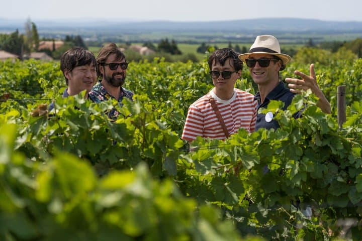Afternoon Wine Tour to Chateauneuf du Pape from Avignon — photo 5