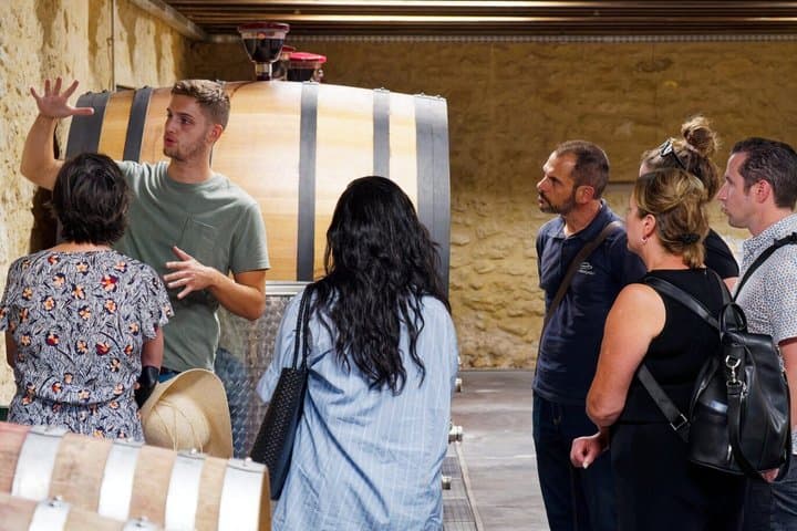 Morning Wine Tour to Chateauneuf du Pape from Avignon — photo 2
