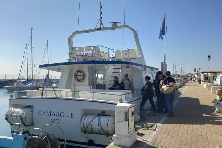 Excursion d'une journée en Camargue au départ d'Avignon — photo 5