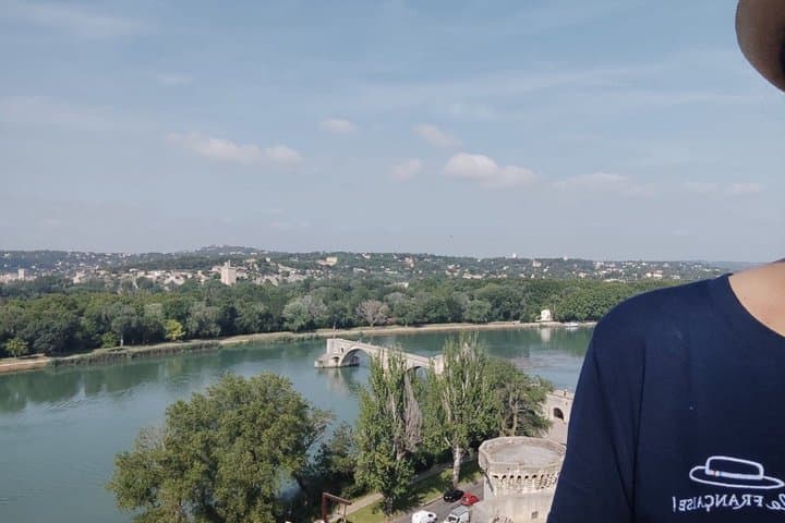 Avignon Walking Tour including Pope's Palace — photo 3