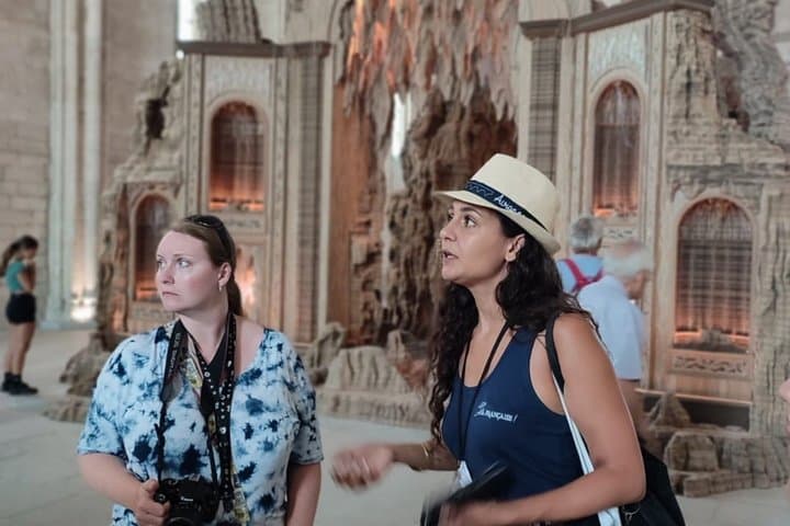 Avignon, St Rémy, Les Baux de Provence & Pont du Gard — photo 4
