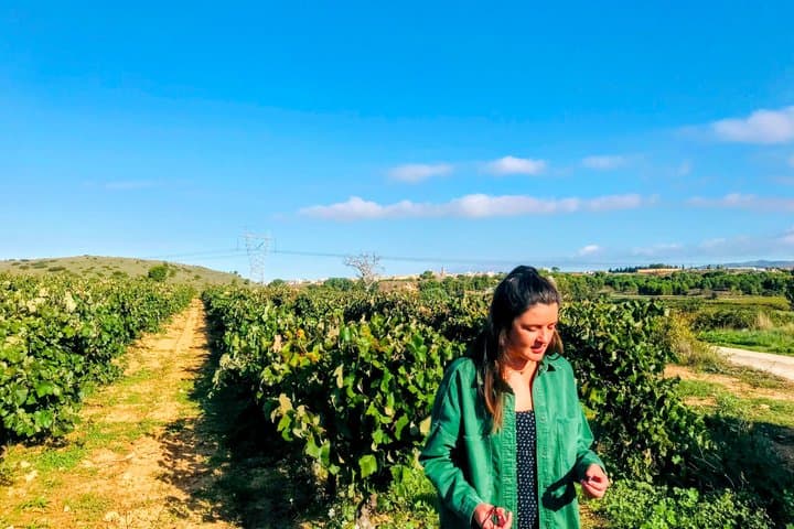 Tour Privato di Un Giorno nel Villaggio Medievale di Requena e Cantina — foto 5