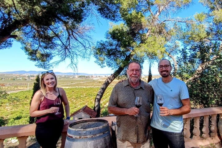Tour Privato di Un Giorno nel Villaggio Medievale di Requena e Cantina — foto 2