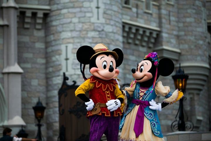 Trasferimento Privato Andata e Ritorno a Disneyland Paris — foto 3