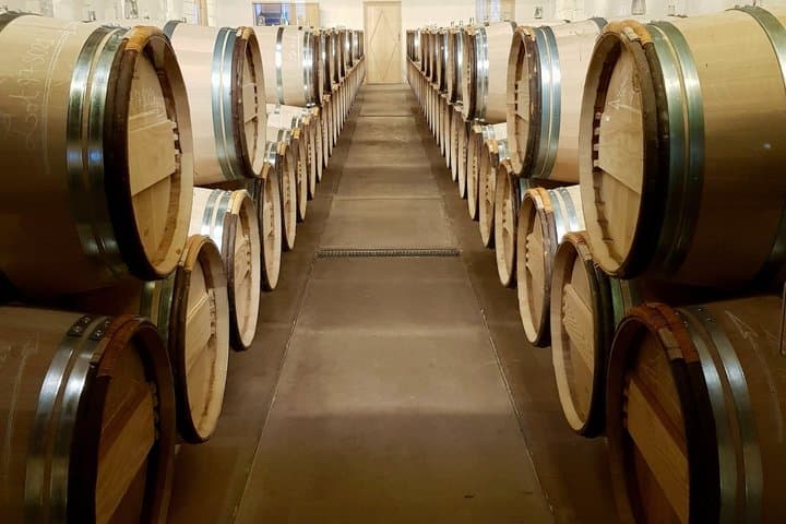 Privat geführte Weinprobe in Sauternes — Foto 4