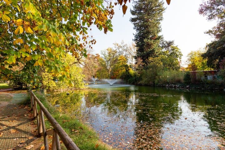 Tour Privato dei Punti Salienti di Bologna — foto 2