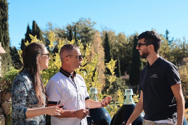 Tour de tarde a Saint-Paul-de-Vence y cata de vinos desde Niza