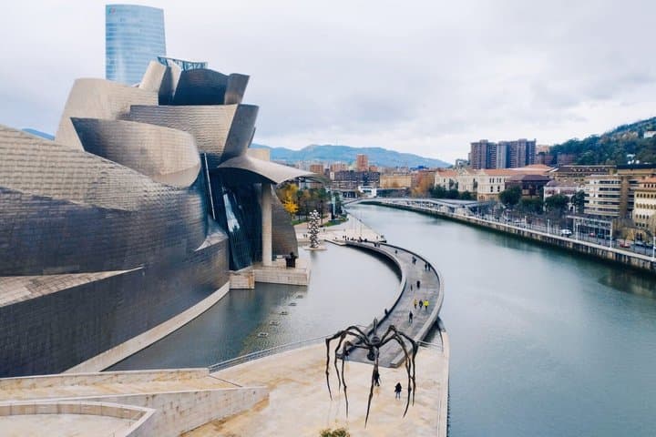 Visite privée du Musée Guggenheim Bilbao avec un guide local