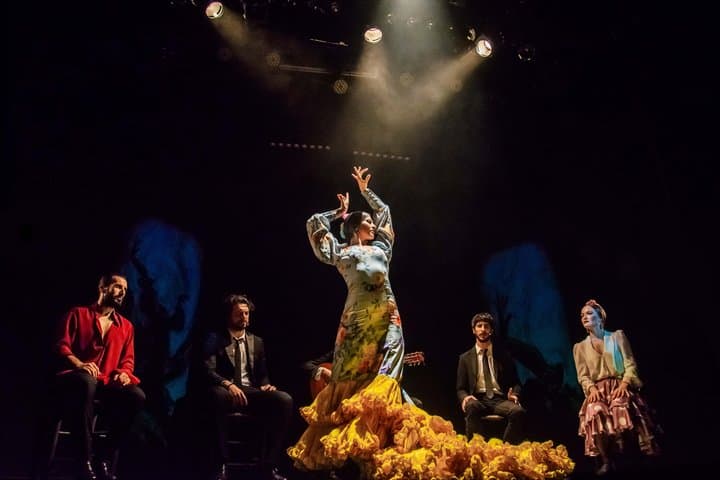 The Premium Experience at Teatro Flamenco Madrid — photo 4