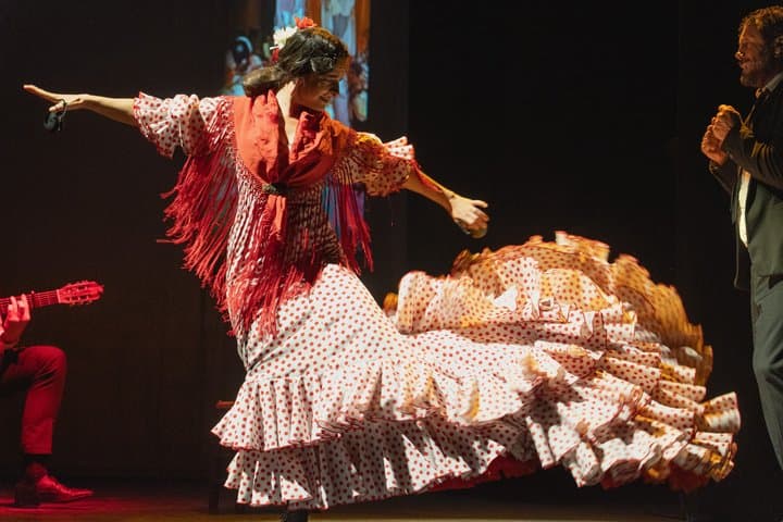 Spettacolo di Flamenco al Teatro Flamenco Sevilla — foto 2