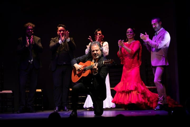 Spectacle de Flamenco au Teatro Flamenco Granada — photo 5