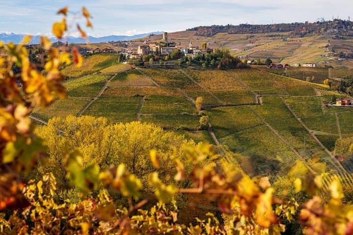 Tour delle Vigne e Cantine di Barolo da Milano
