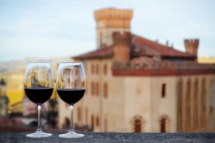Tour delle Vigne e Cantine di Barolo da Milano — foto 3