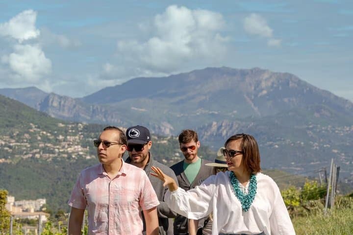Weinberg Tour mit Weinprobe in Nizza — Foto 2