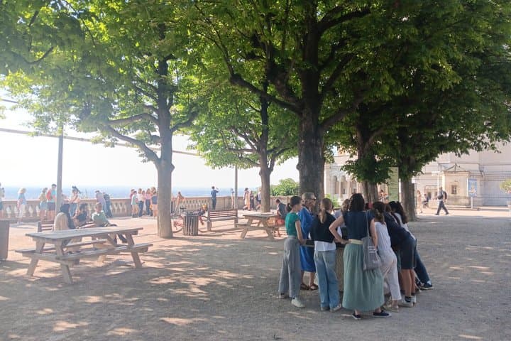 Tour guidato di Lione Vecchia, basilica di Fourvière e rovine romane — foto 5