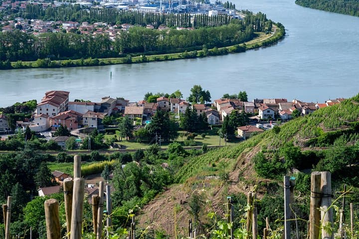 Visite privée des vins de la vallée du Rhône Nord au départ de Lyon