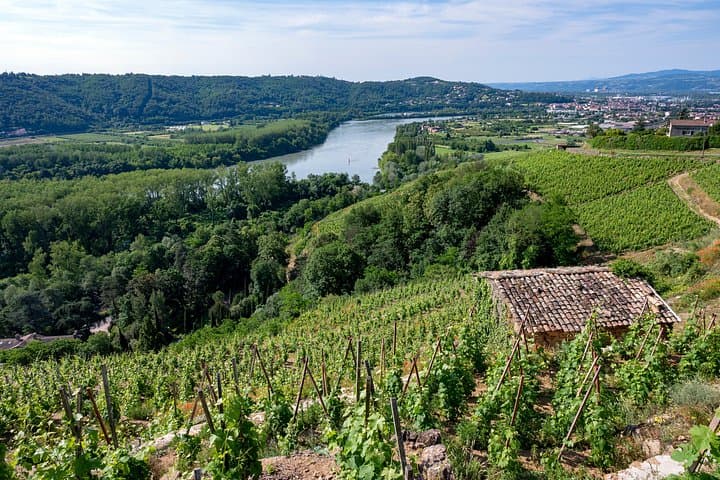 Private Weintour durch das nördliche Rhône-Tal ab Lyon — Foto 4