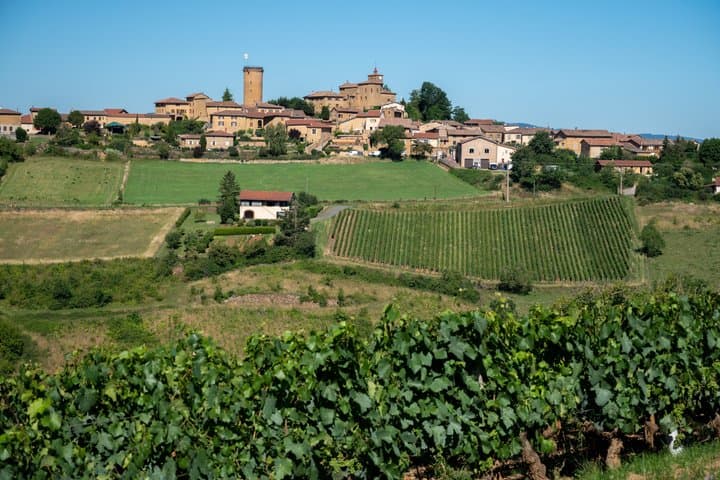 Private Weinverkostungstour im Beaujolais ab Lyon — Foto 4
