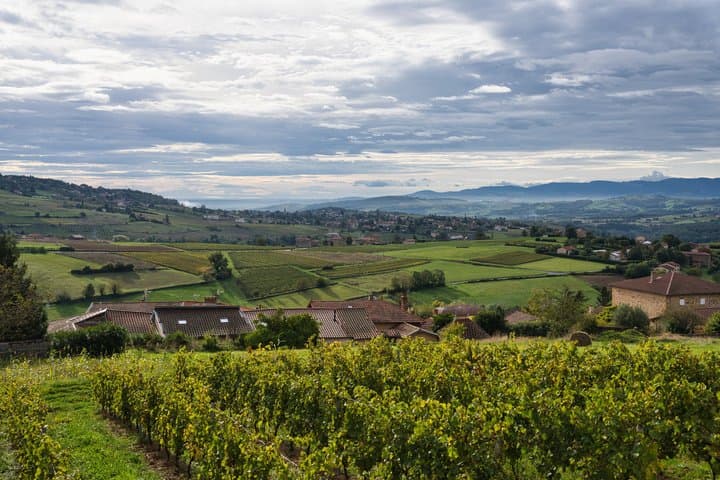 Private Weinverkostungstour im Beaujolais ab Lyon — Foto 2