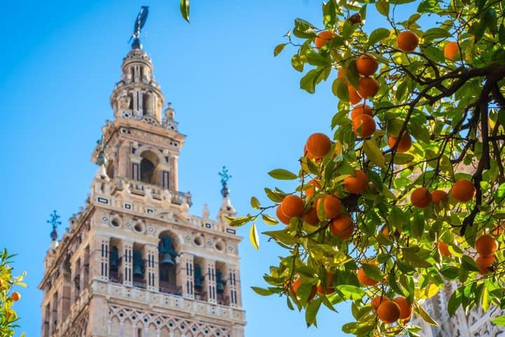 Tour della Cattedrale di Siviglia e della Giralda con Biglietti Prioritari