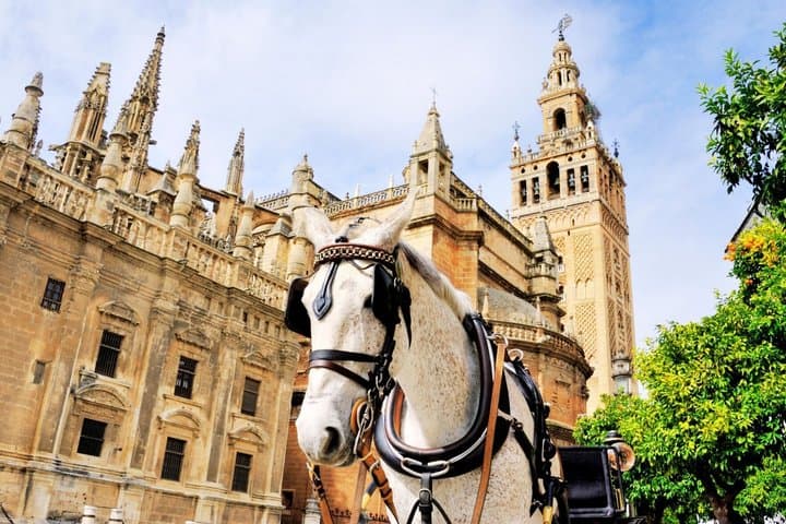 Tour della Cattedrale di Siviglia e della Giralda con Biglietti Prioritari — foto 2