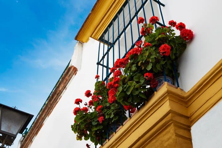 Tour del Patrimonio Judío en Sevilla — foto 5